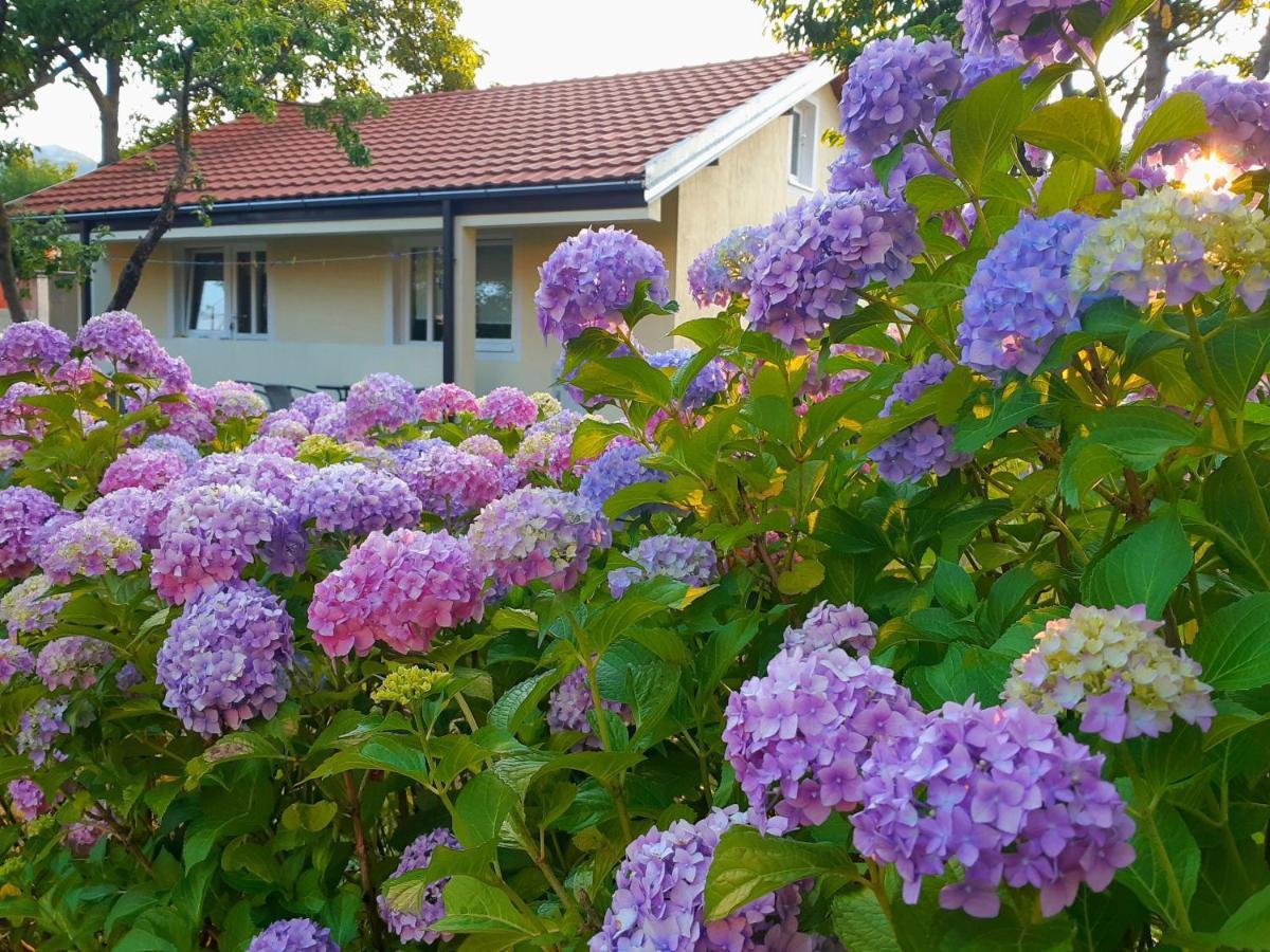 סטינג'ה Cvjetni Apartmani מראה חיצוני תמונה